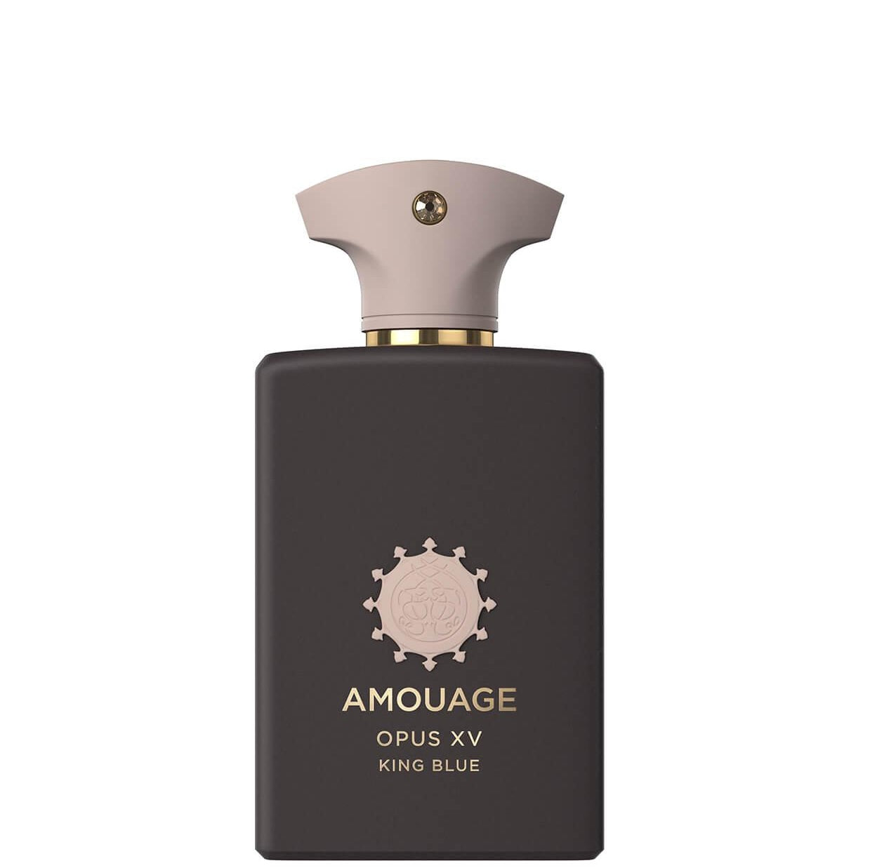 AMO410584_#100ML