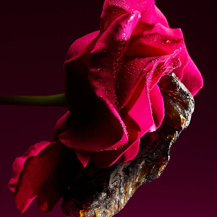 Le Gemme Sahare Eau de Parfum_#60ml