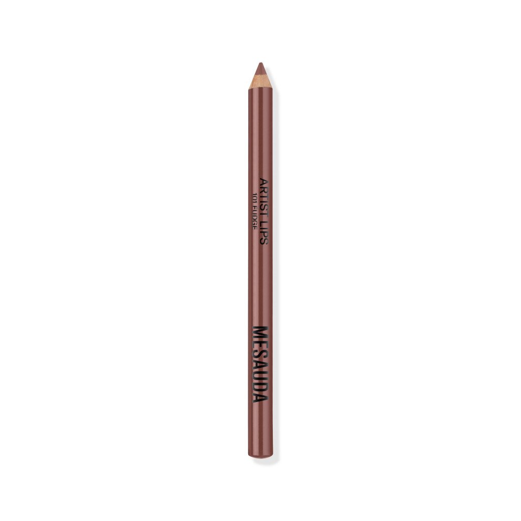 MES238101_#101 fudge