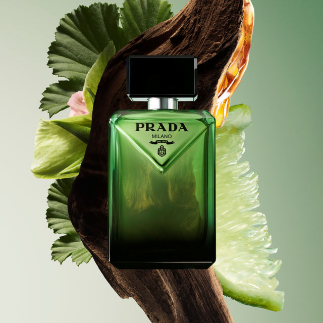 Paradigme Eau de Parfum_#100ml