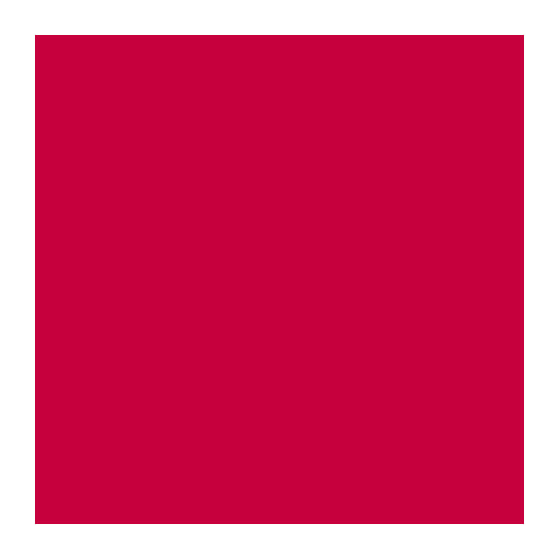 YSL4925200_#49 rouge pablo