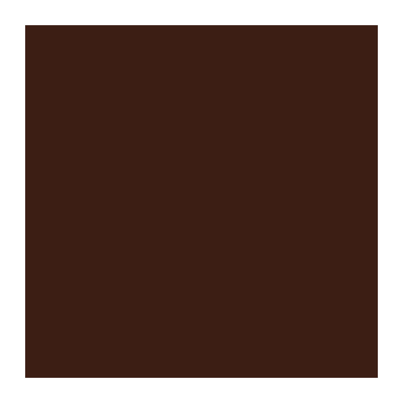 YSL8173300_#Fearless brown