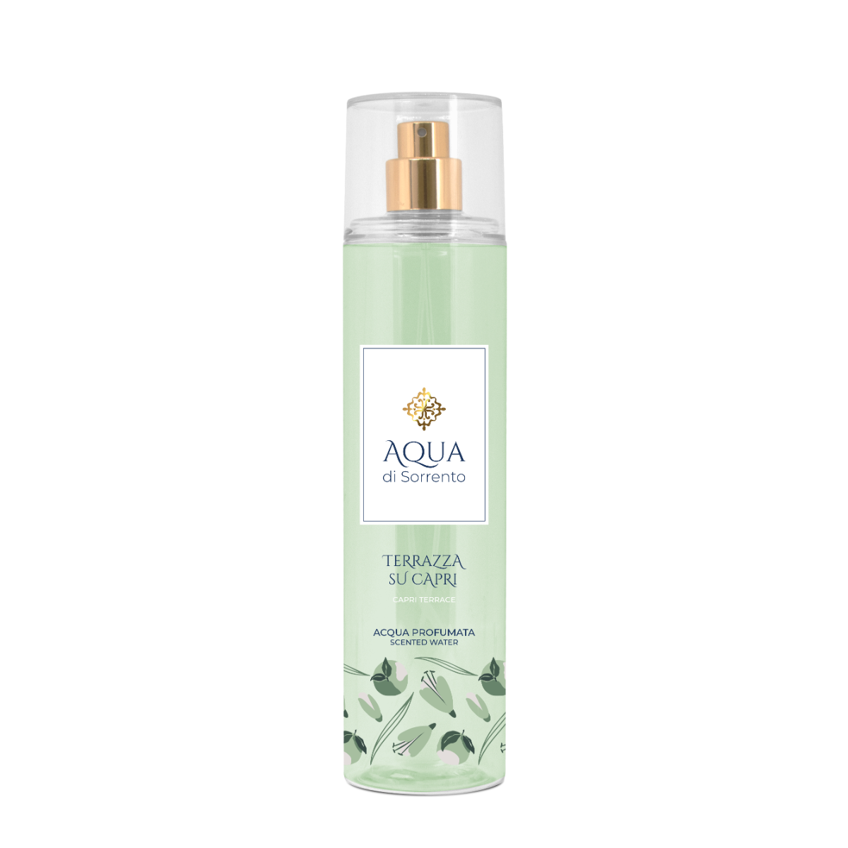 AQU862771_#245ML