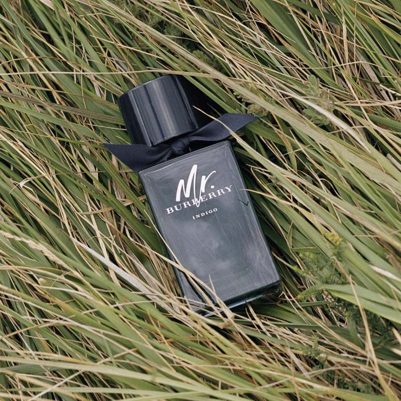 bur293262_#100ml