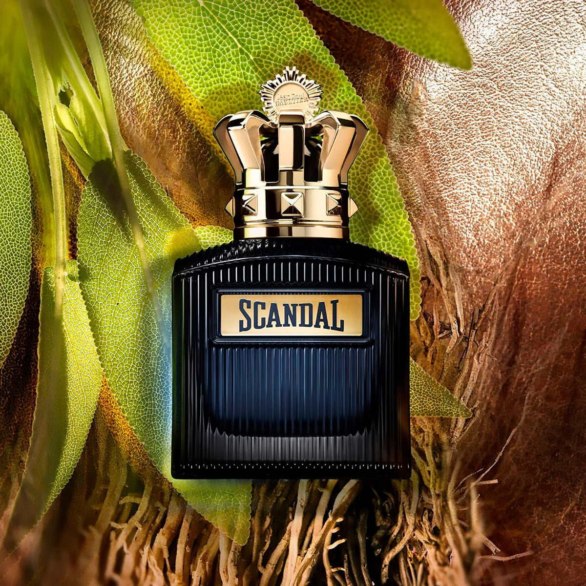 jpg102711_#50ml