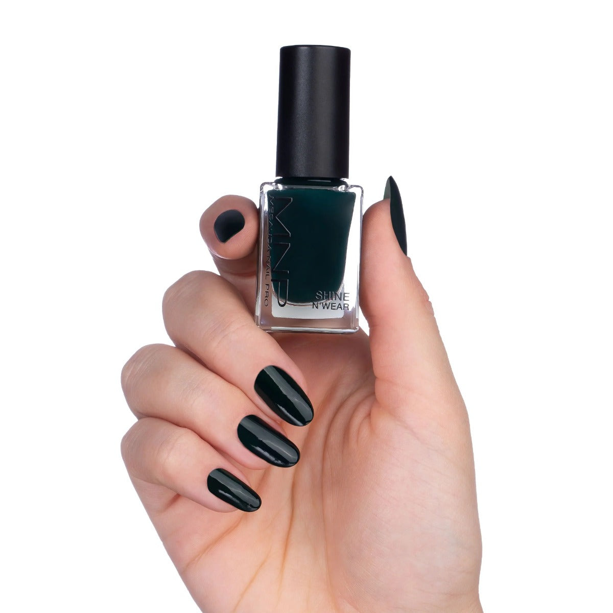 MES400264_#264 evergreen