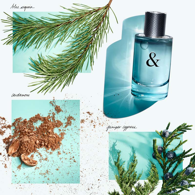 TIF728820_#50ML
